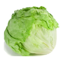 Fresh Salad Iceberg Lettuce Brc High Quality Gap